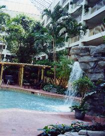 Rain Forest Atrium