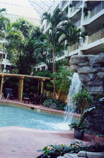 Rainforest Atrium