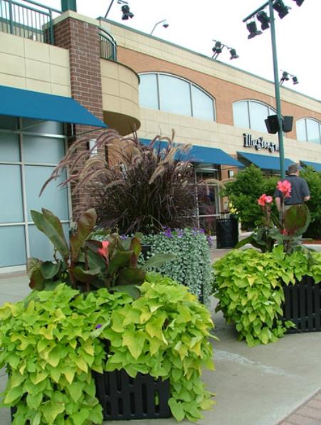 City Park at Lincolnshire