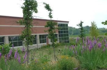 Cyber Continuity Center