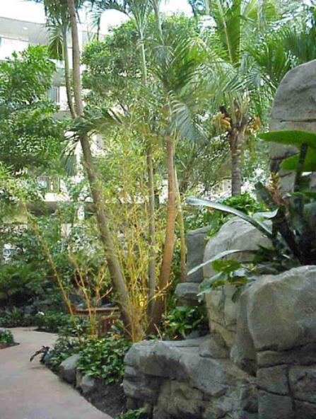 The Park at Vernon Hills