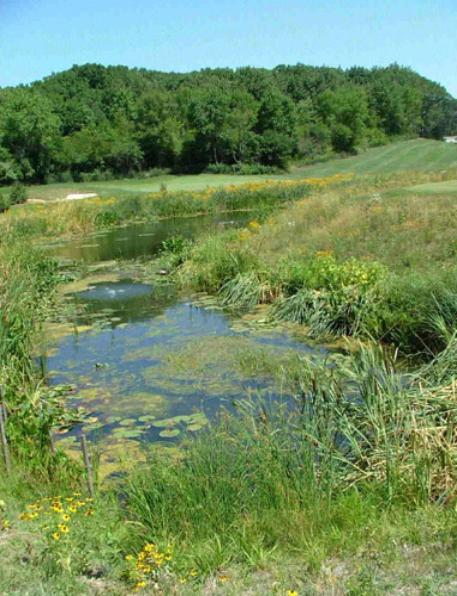 Natural Pond at Crystal Tree Golf Club