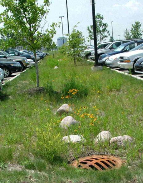 Bio-Swale at Renaissance Schaumburg Convention Center